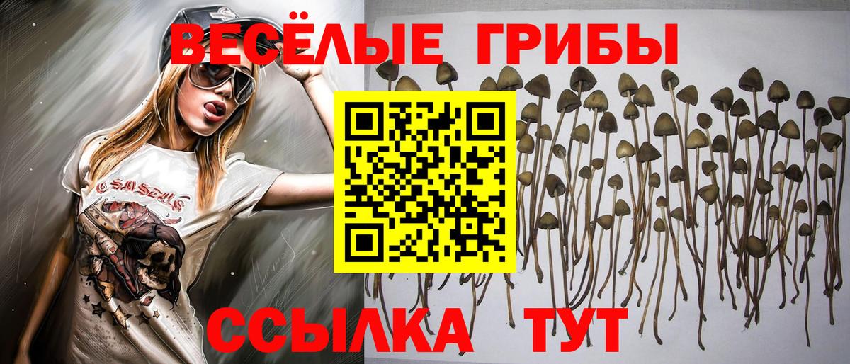 Псилоцибиновые грибы ЛСД  Вход с VPN  сколько стоит  Новочебоксарск 